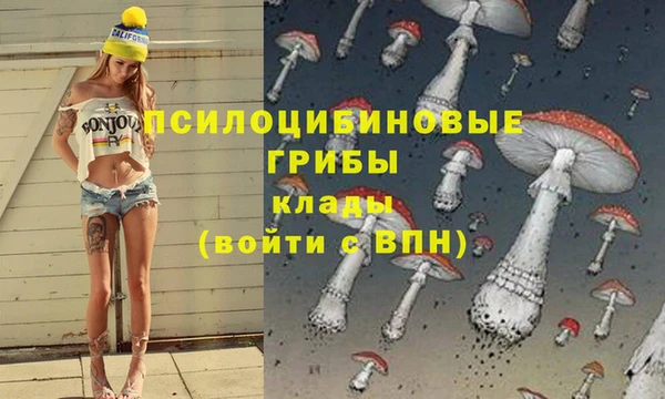 каннабис Беломорск