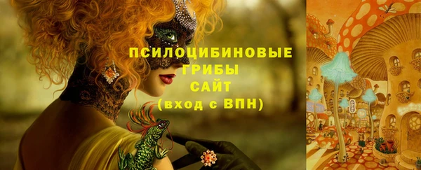 стаф Белоозёрский