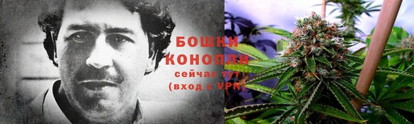 стаф Белоозёрский