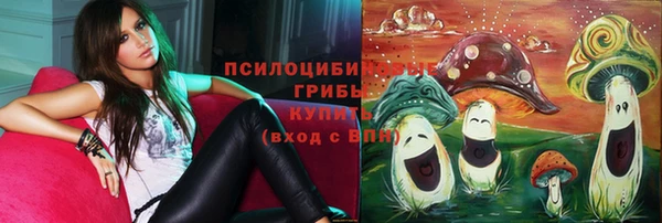 альфа пвп Белокуриха